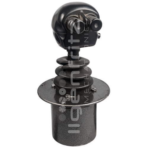 Caterpillar | Chariot télescopique Joystick RT80