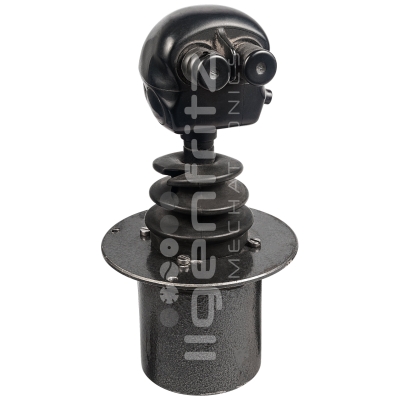 Caterpillar | Joystick Teleskoplader RT80