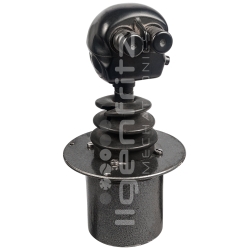 Caterpillar | Joystick Teleskoplader RT80